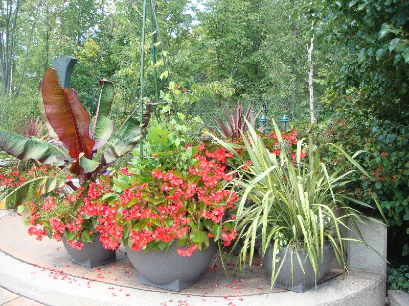 Western Michigan [2009] 448.JPG - Scenes from Frederik Meijer Gardens & Sculpture Park.